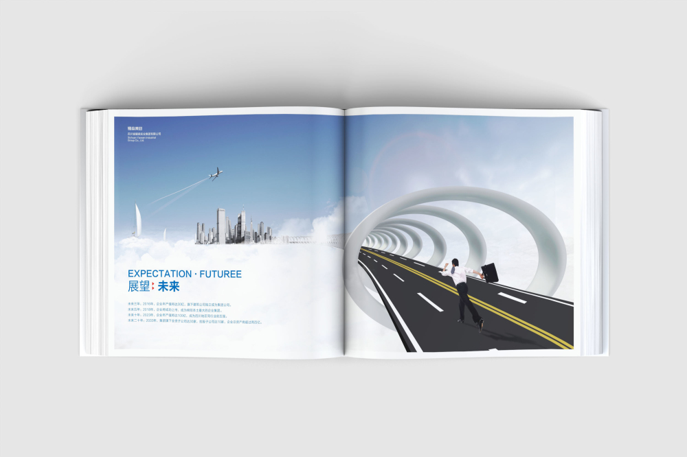 望都县画册设计